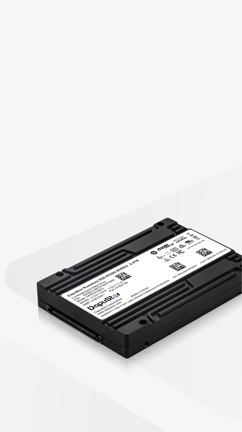 R530X (PCIe 4.0) - High Compatibility Enterprise SSD | DapuStor