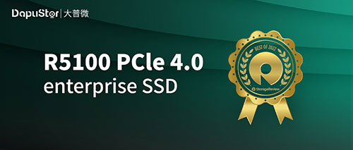 最佳整体性能之选：DapuStor R5100 PCIe 4.0企业级SSD深度测评