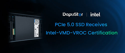DapuStor PCIe 5.0 SSD Receives Intel-VMD-VROC Certification