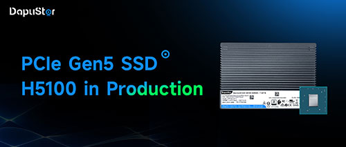 DapuStor Haishen5 H5100 PCIe Gen5 NVMe SSD with Marvell Bravera in Production
