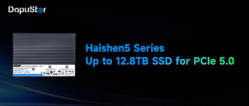 DapuStor Haishen5 Series Enterprise NVMe Up to 12.8TB SSD for PCIe 5.0 with Marvell Bravera SC5 Controller