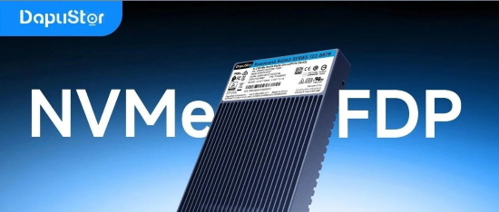 DapuStor NVMe FDP Deep Dive: From Concept to Real-World Deployment